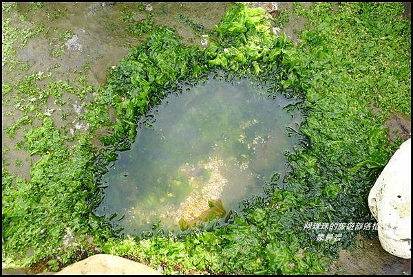 象鼻岩22.JPG 象鼻岩22.JPG