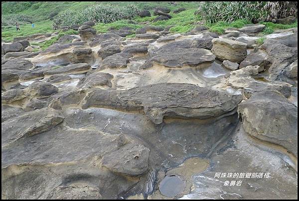 象鼻岩26.JPG 象鼻岩26.JPG