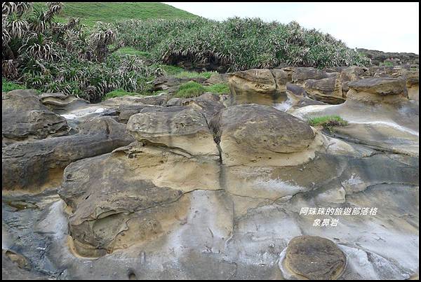 象鼻岩27.JPG 象鼻岩27.JPG