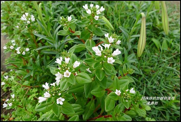 象鼻岩32.JPG 象鼻岩32.JPG