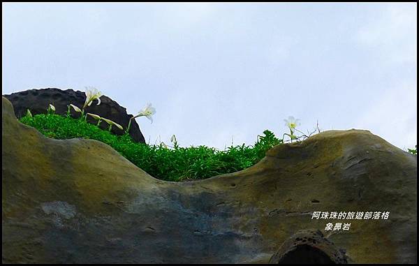 象鼻岩33.JPG 象鼻岩33.JPG