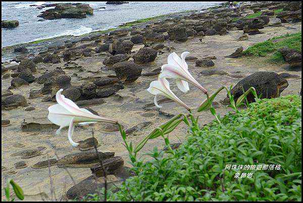 象鼻岩44.JPG 象鼻岩44.JPG