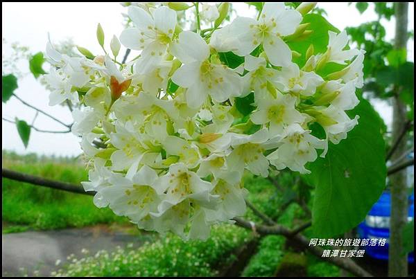 龍潭甘家堡44.JPG 龍潭甘家堡44.JPG