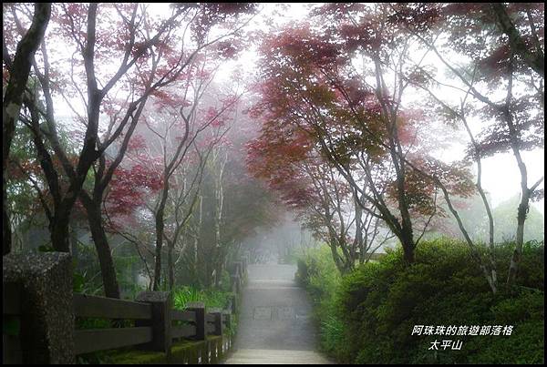 太平山45.JPG