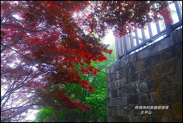 太平山50.JPG