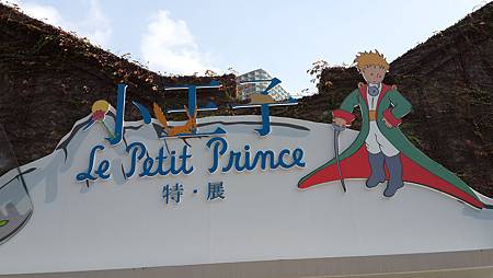 2015-01-01 11.05.49.jpg