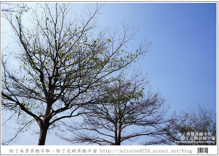 DSC09722.jpg DSC09722.jpg