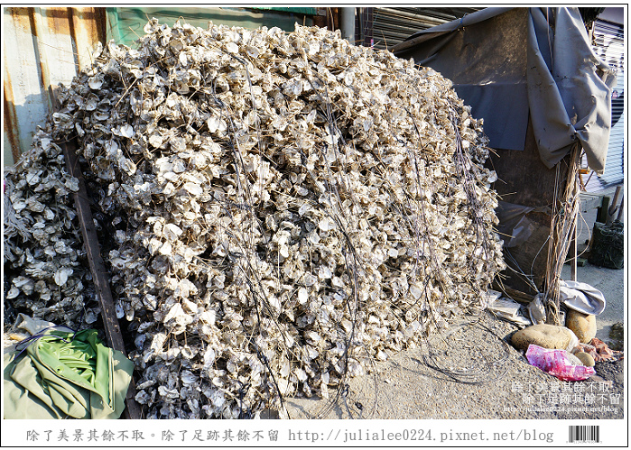 彰化福寶乳牛 (55) 彰化福寶乳牛 (55)