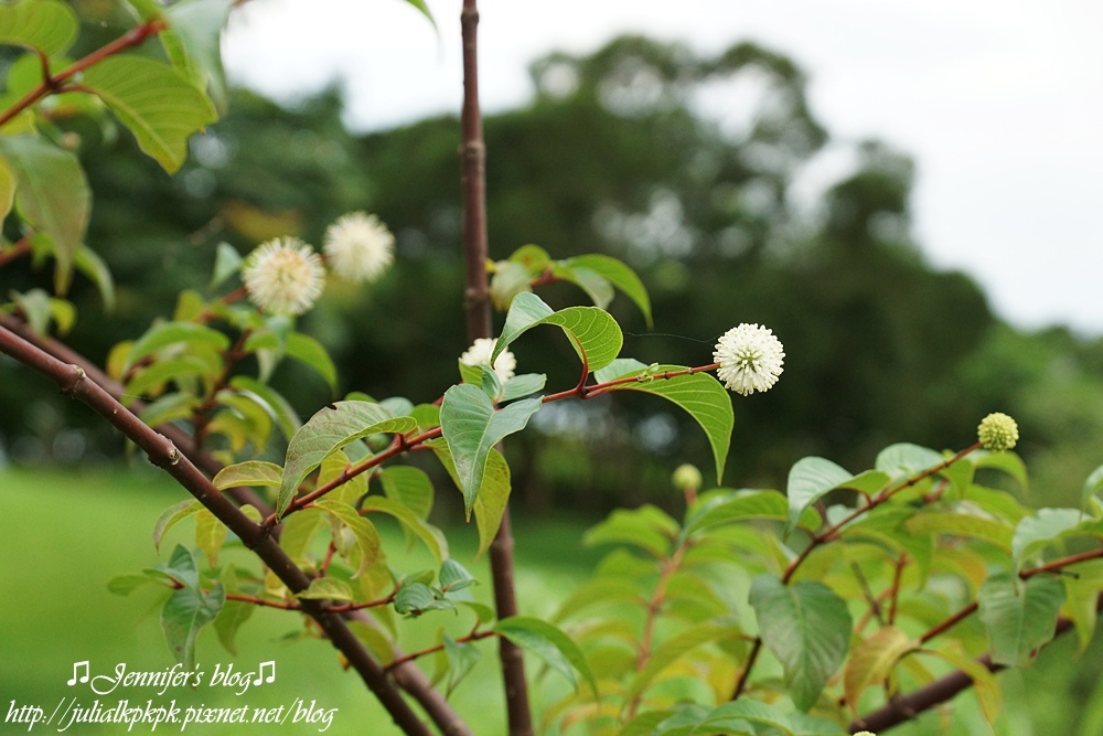 DSC04867.JPG DSC04867.JPG