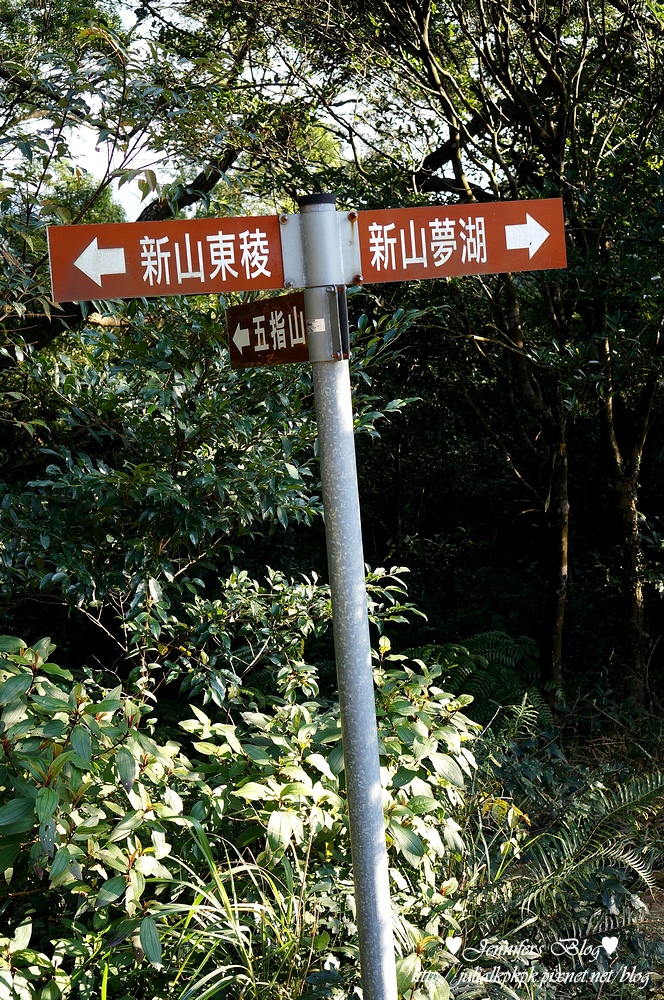 DSC06028.jpg DSC06028.jpg