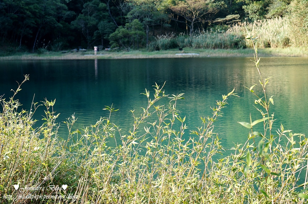 DSC06035.jpg DSC06035.jpg