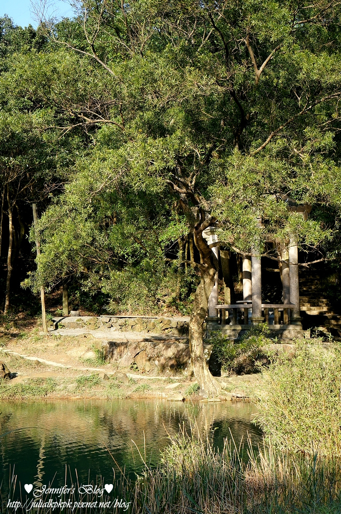 DSC06037.jpg DSC06037.jpg