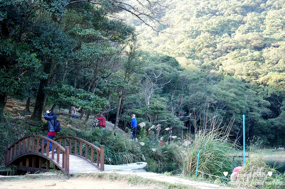 DSC06041.jpg DSC06041.jpg