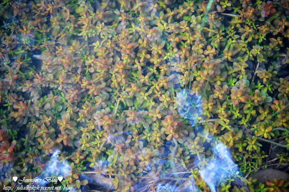 DSC06045.jpg DSC06045.jpg