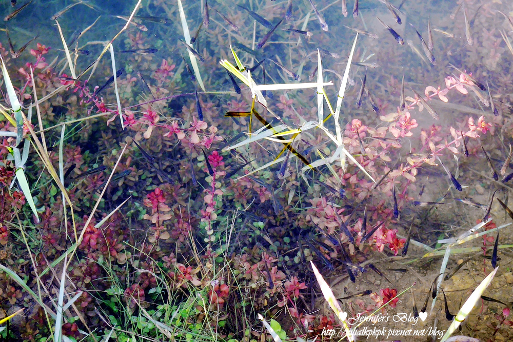 P1190404.jpg P1190404.jpg