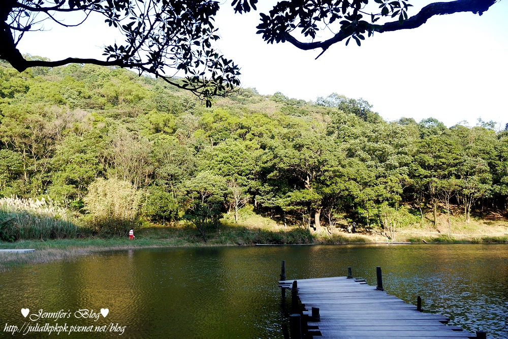 P1190426.jpg P1190426.jpg