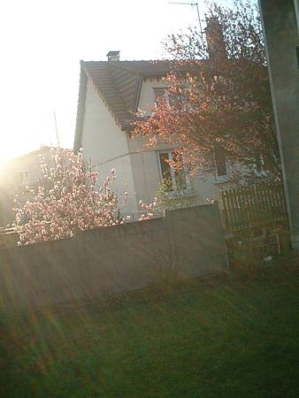 DSCF0184 DSCF0184