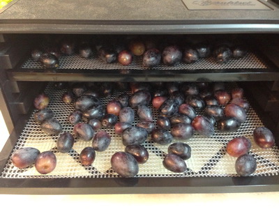 相片 Dec 04, 9 20 26 PM_調整大小_exposure 相片 Dec 04, 9 20 26 PM_調整大小_exposure