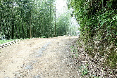 DSC01659_調整大小.JPG DSC01659_調整大小.JPG