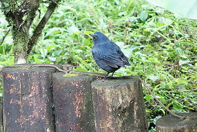 DSC01716_調整大小.JPG DSC01716_調整大小.JPG