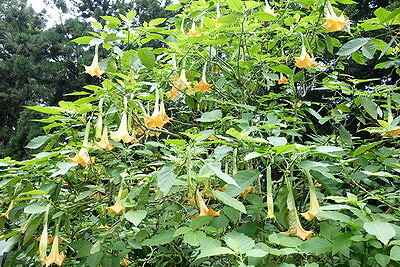 DSC01701_調整大小.JPG DSC01701_調整大小.JPG