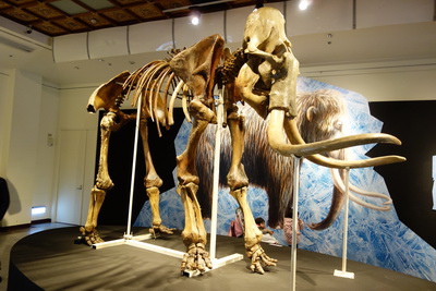 DSC02066_調整大小 DSC02066_調整大小