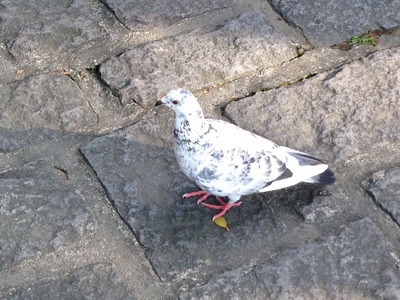 相片 Feb 21, 3 45 45 PM_調整大小