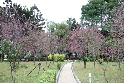 DSC02053_調整大小 DSC02053_調整大小