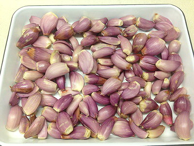 相片 Sep 12, 10 38 13 AM_調整大小_exposure.jpg 相片 Sep 12, 10 38 13 AM_調整大小_exposure.jpg