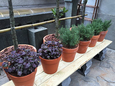 相片 2014-12-17 下午1 49 52_調整大小.jpg 相片 2014-12-17 下午1 49 52_調整大小.jpg