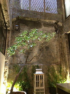 相片 2014-12-17 下午3 06 11_調整大小.jpg 相片 2014-12-17 下午3 06 11_調整大小.jpg