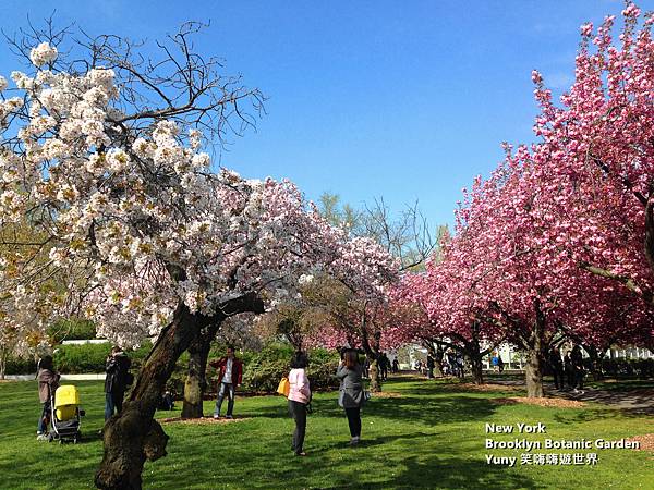 2015-05-02 04.45.34_副本