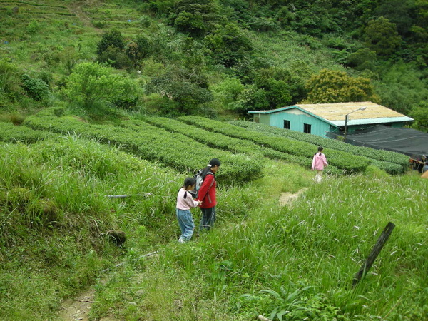 猴山岳,猴山岳前峰 258.JPG