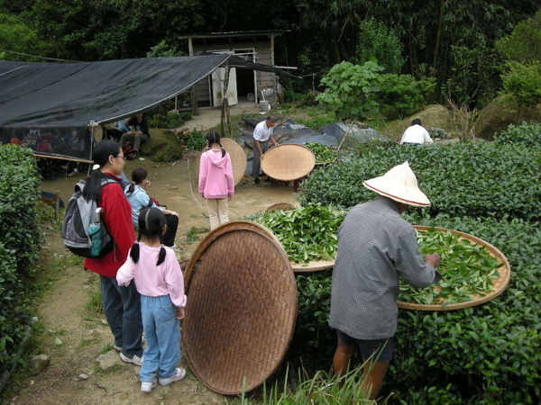 猴山岳,猴山岳前峰 261.JPG