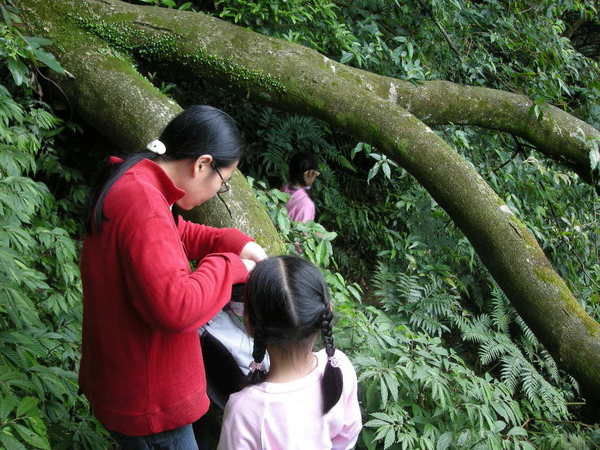 猴山岳,猴山岳前峰 250.JPG