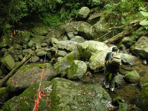 北插水園地.塔開神木.滿月園 093.JPG