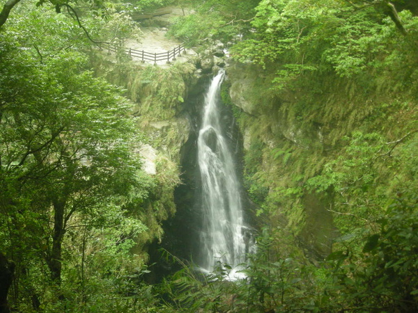 北插水園地.塔開神木.滿月園 318.JPG