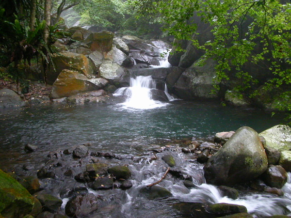 二坪頂冷泉 020.JPG