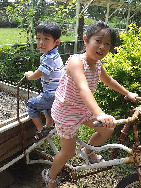 20130907_131105.jpg 20130907_131105.jpg