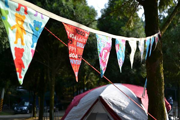 DSC_0147.JPG DSC_0147.JPG