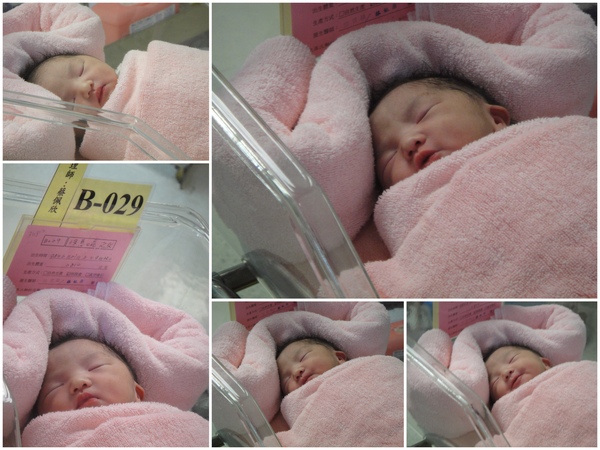 大姐的Baby 大姐的Baby