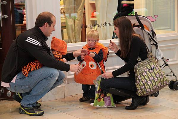 IMG_0050 IMG_0050