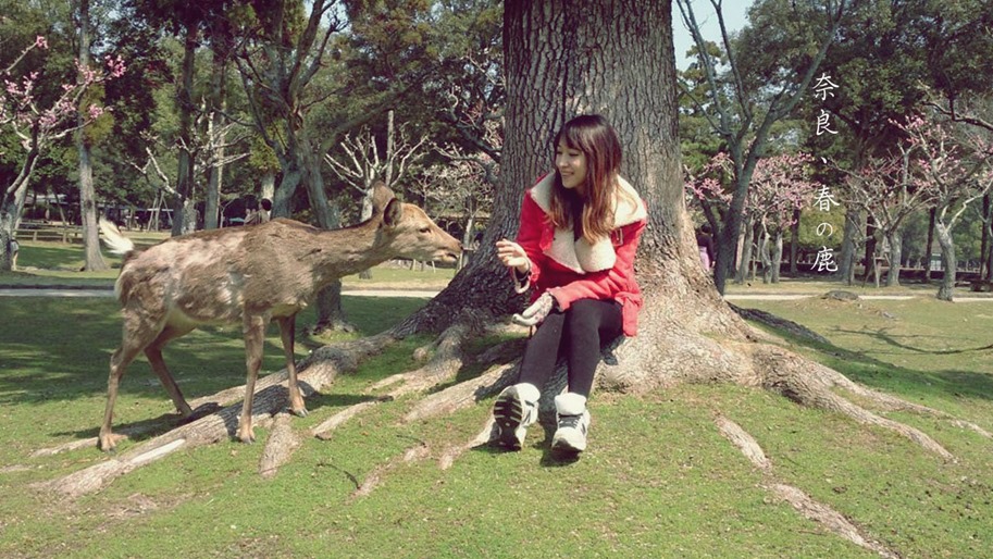 1395701520813 1395701520813