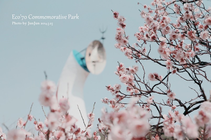 DSC03627_副本_副本 DSC03627_副本_副本