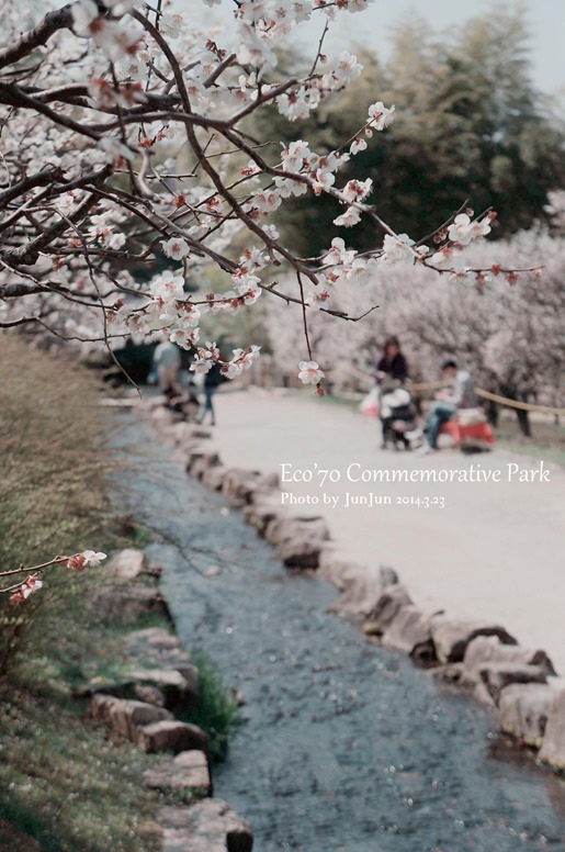 DSC03617_副本 DSC03617_副本