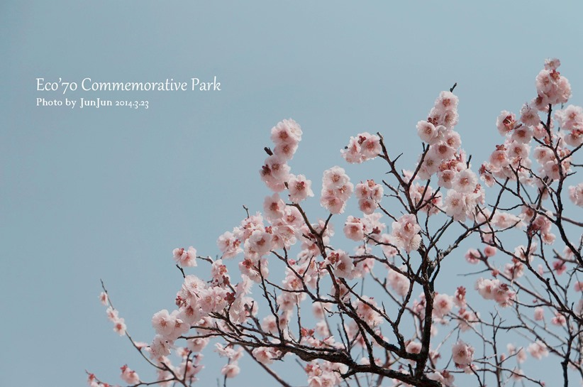 DSC03628_副本 DSC03628_副本