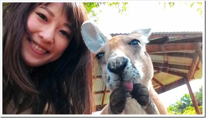 P_20150216_094529_副本 P_20150216_094529_副本