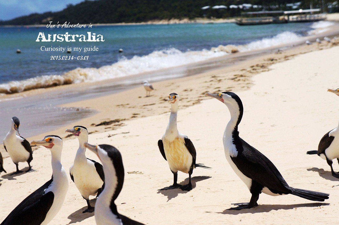 DSC09424_副本 DSC09424_副本