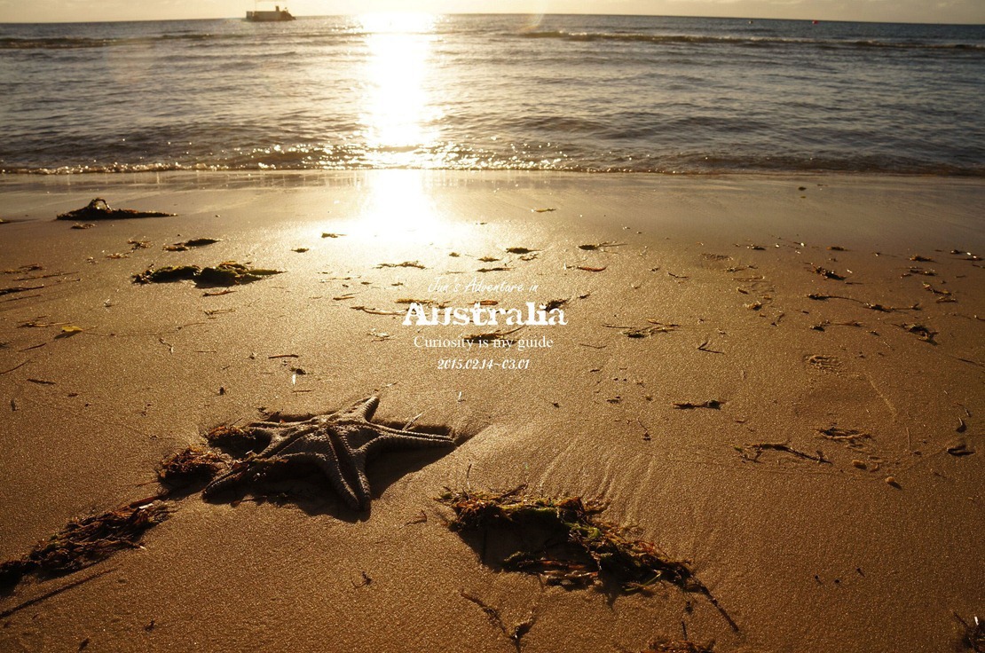 DSC09475_副本 DSC09475_副本