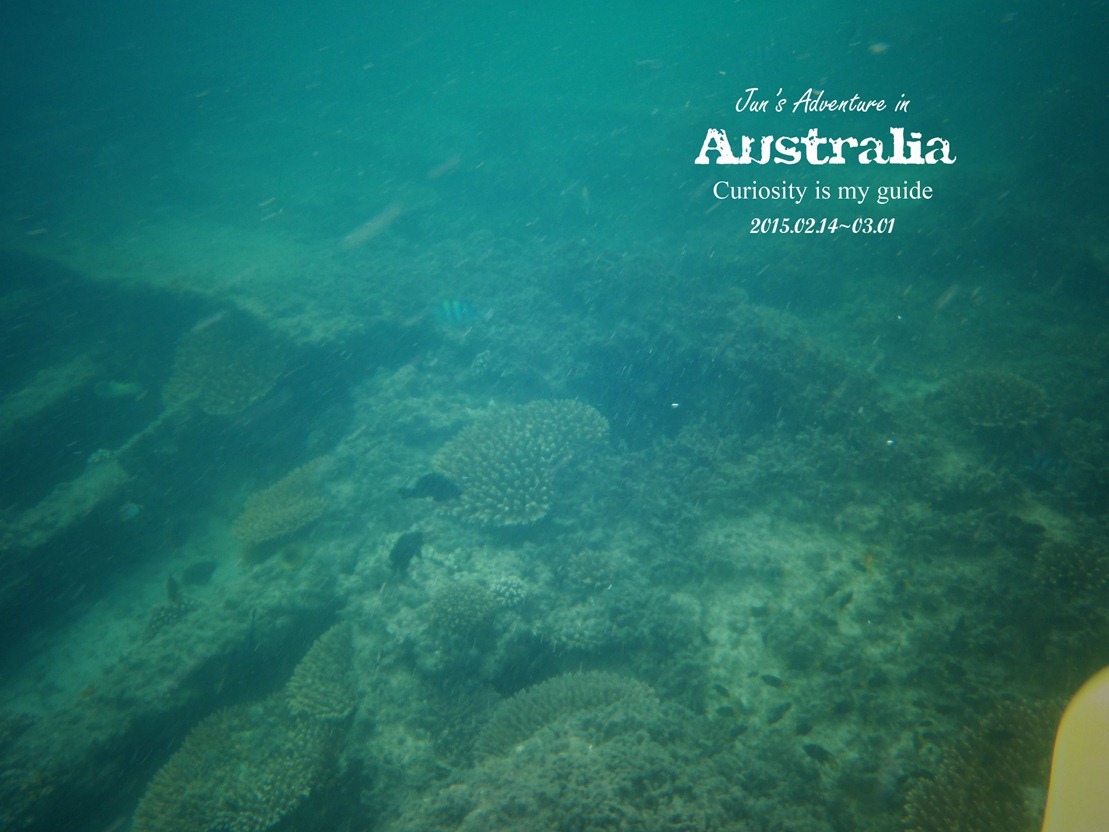 P1010070_副本 P1010070_副本